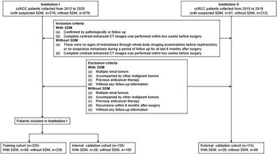 Development and validation of A CT-based radiomics nomogram for prediction of synchronous distant metastasis in clear cell renal cell carcinoma